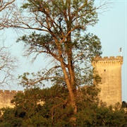 Château De Beaucaire