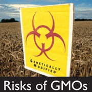 Big Agricultural Companies Are Hiding the Negative Effects of Genetically Modified Foods.