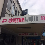 Opossum World Napier