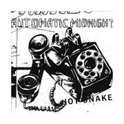 Hot Snakes - Automatic Midnight