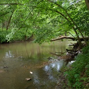 Franklin Creek State Natural Area, Illinois