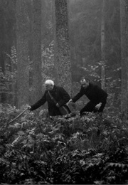 The Forest (2009)