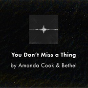 You Don't Miss a Thing - Amanda Cook