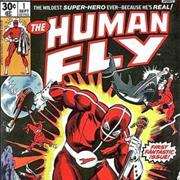 The Human Fly
