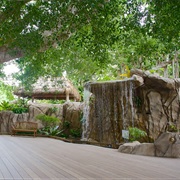 Selby Botanical Gardens