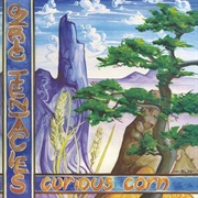 Ozric Tentacles - Curious Corn