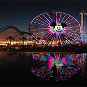 Have Fun at a Major Theme/Adventure Park