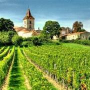 French Wine Country
