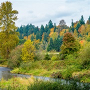 Lake Shore, Washington