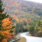 Ouachita National Forest