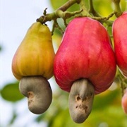 Cashew Fruit