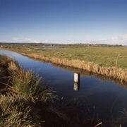 Exminster and Powderham Marshes