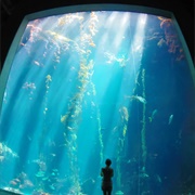 Kenting National Museum of Biology and Aquarium