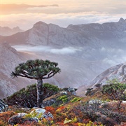 Socotra Island, Yemen