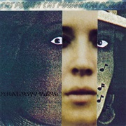 Cat Power – What Would the Community Think?