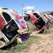 Bug Ranch, Conway, Texas