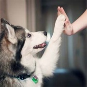 You Don't Like to Play With It