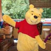 Winnie the Pooh