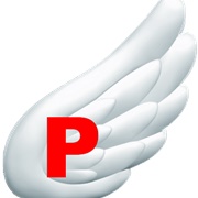 P-Wing