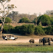 Chief's Island, Moremi Game Reserve, Botswana