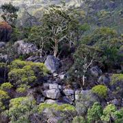 Avon Valley National Park (WA)