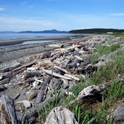 Joseph Whidbey State Park, Washington