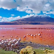 Laguna Colorada, Bolivia