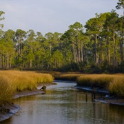 Grand Bay National Wildlife Refuge
