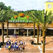 Audubon Zoo, New Orleans