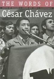 The Words of Cesar Chavez