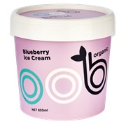 Blueberry Ice Cream