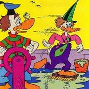 Dimwitty Duck