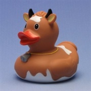 Moo Cow Duckie