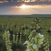 Smoky Valley Scenic Byway