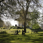 Battersea Park