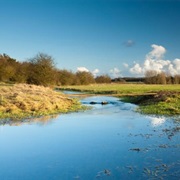 Walk the Thames Path.