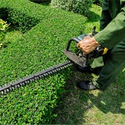 Trim Hedge