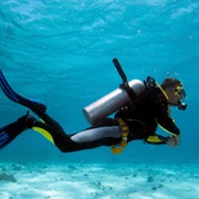 Scuba Certification