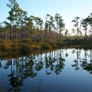 Jonathan Dickinson State Park