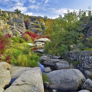 Buzk's Gard National Nature Park