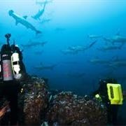 Cocos Island, Costa Rica