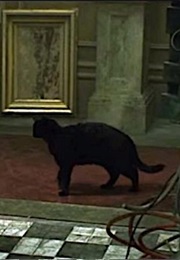 "Déju Vu" Cat, the Matrix (1999)