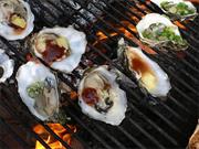 BBQ Oysters