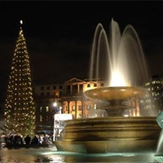 Trafalgar Square Christmas Tree