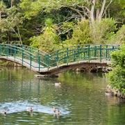 Western Spring Park Walk - Easy (30 Mins)