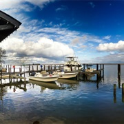 Boss Oyster, Apalachicola, Fl