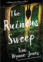 The Ruinous Sweep (Tim Wynne-Jones)