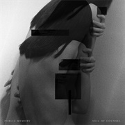 Public Memory - Veil of Counsel - EP