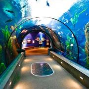 Oregon Coast Aquarium