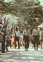 In the Name of the People (1984)